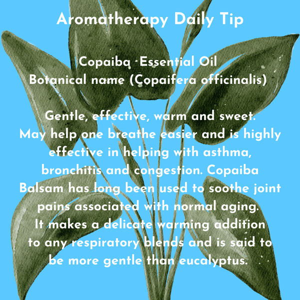 Copaiba  Essential Oil Daily Tip