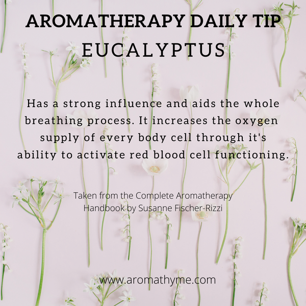 Eucalyptus Essential Oil Daily Tip