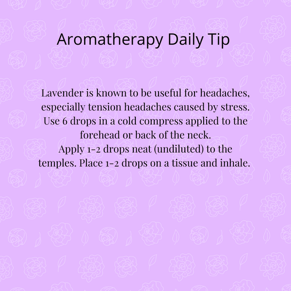 Lavender Essential Oil Tip