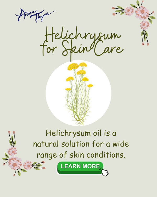 HELICHRYSUM FOR SCARS