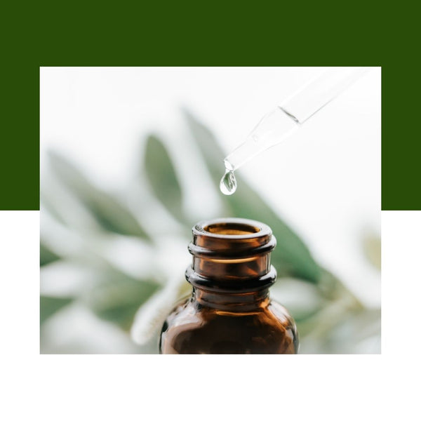 Eucalyptus Radiata Organic Essential Oil