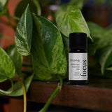 Focus Essential Oil Blend MONQ