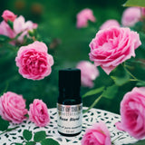 Rose Absolute Synergy Essential Oil Aroma Blend