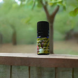 Santa Rosa Plum Essential Oil Aromatherapy Blend