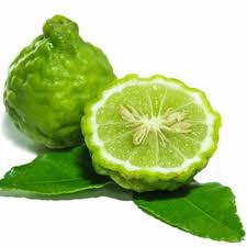 Bergamot Essential Oil